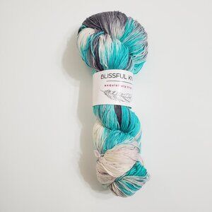 Blissful Knits Classic Superwash Merino Blend 438yds 3.5oz Hand Dyed Sock Weight